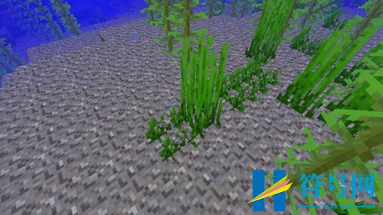 我的世界海草怎么种-海草种植方法